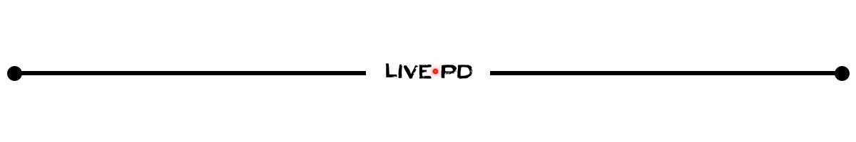 page divider livepd